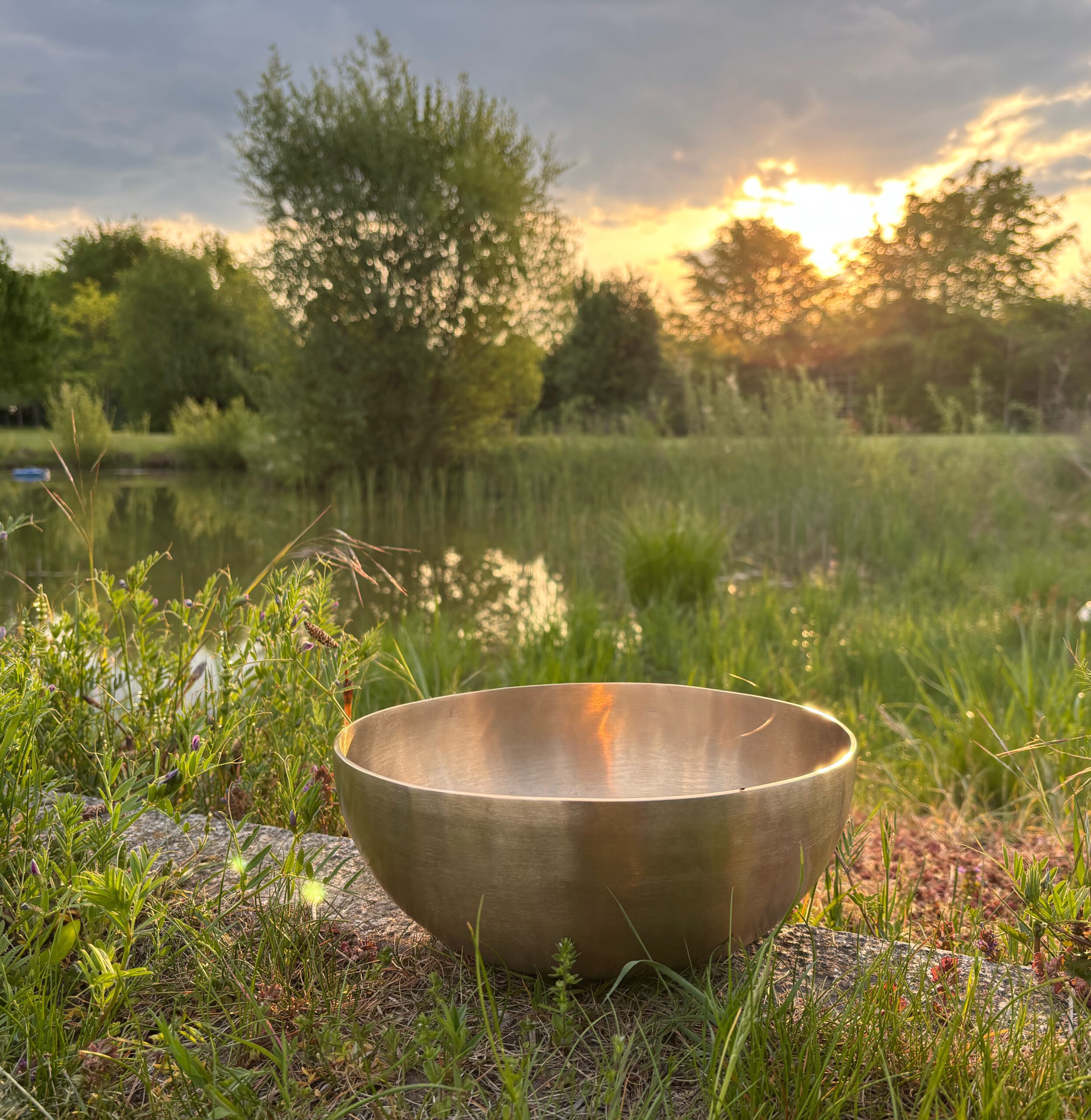 Sandra Pomplun Psychologische Praxis in Potsdam
